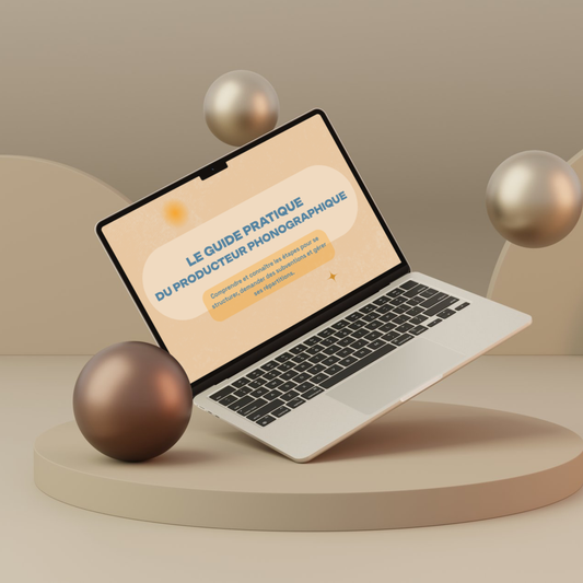 LE GUIDE PRATIQUE DU PRODUCTEUR PHONOGRAPHIQUE